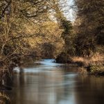 River in Winter